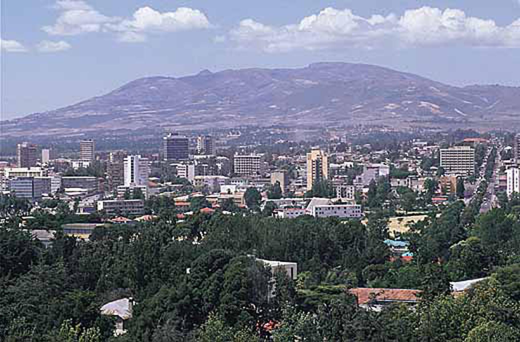 addis2