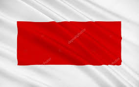 Image result for ras al khaimah flag