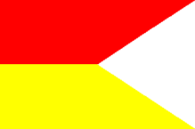 Image result for rio muni flag