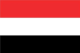 Image result for socotra flag