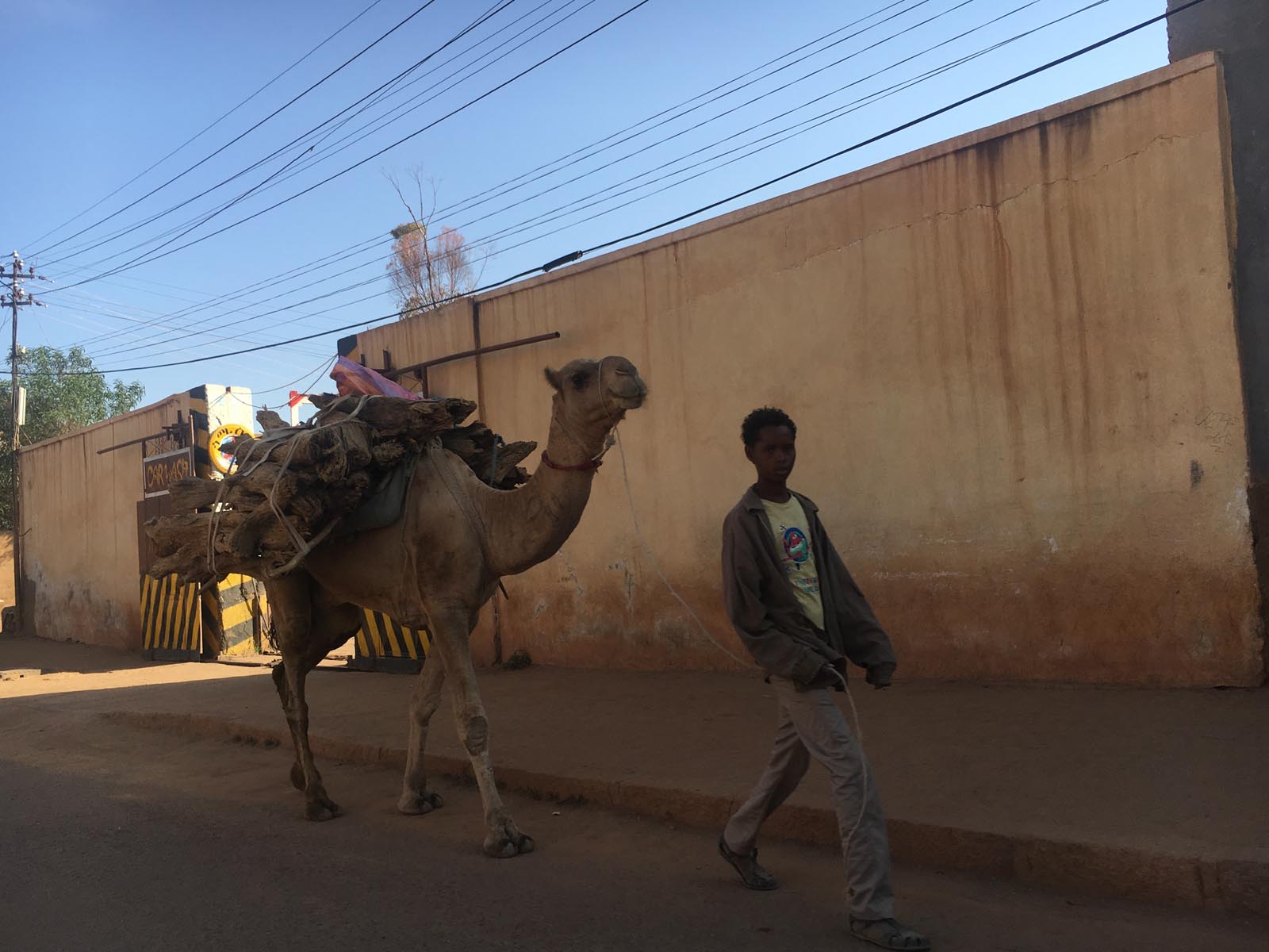 eritrea (9)