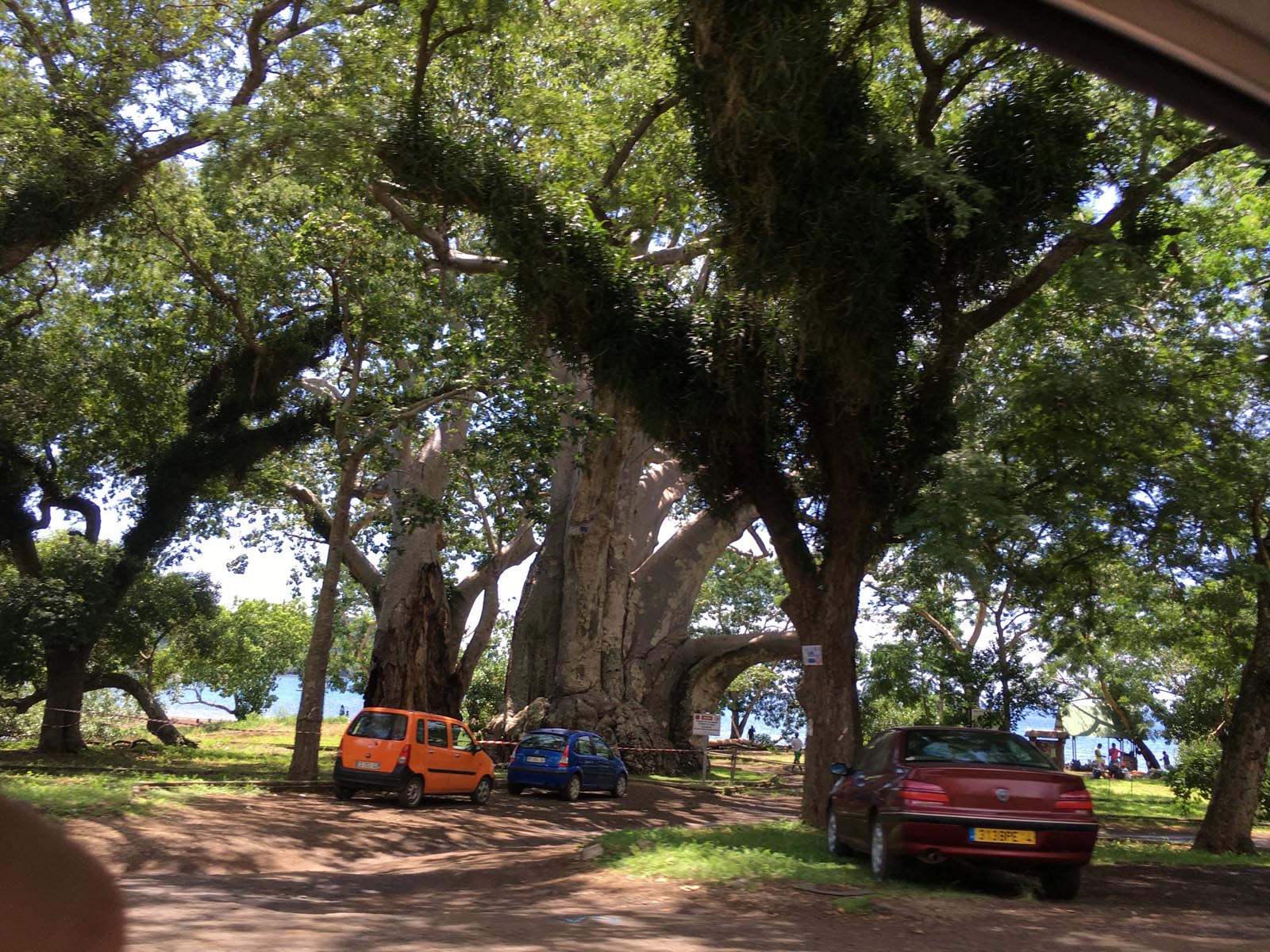 mayotte (19)