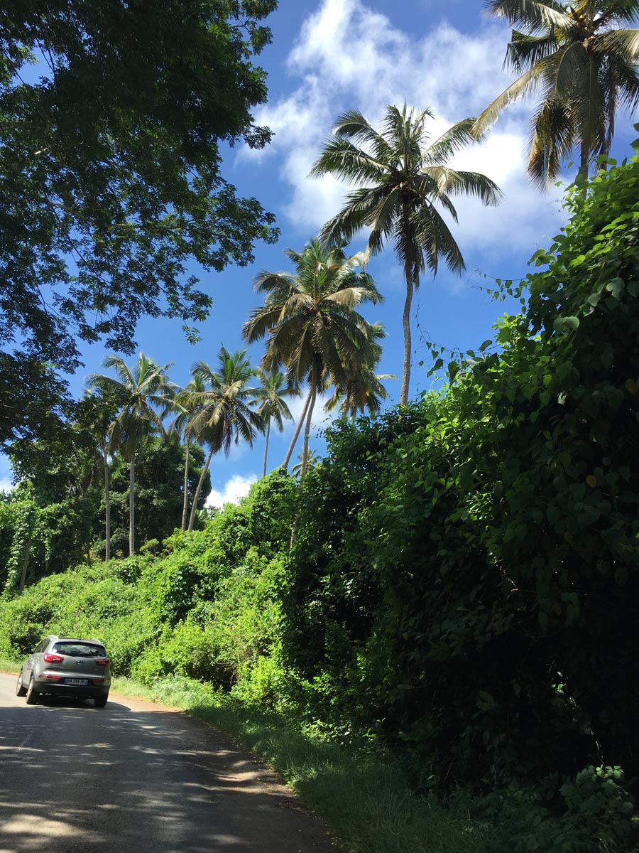 mayotte (9)