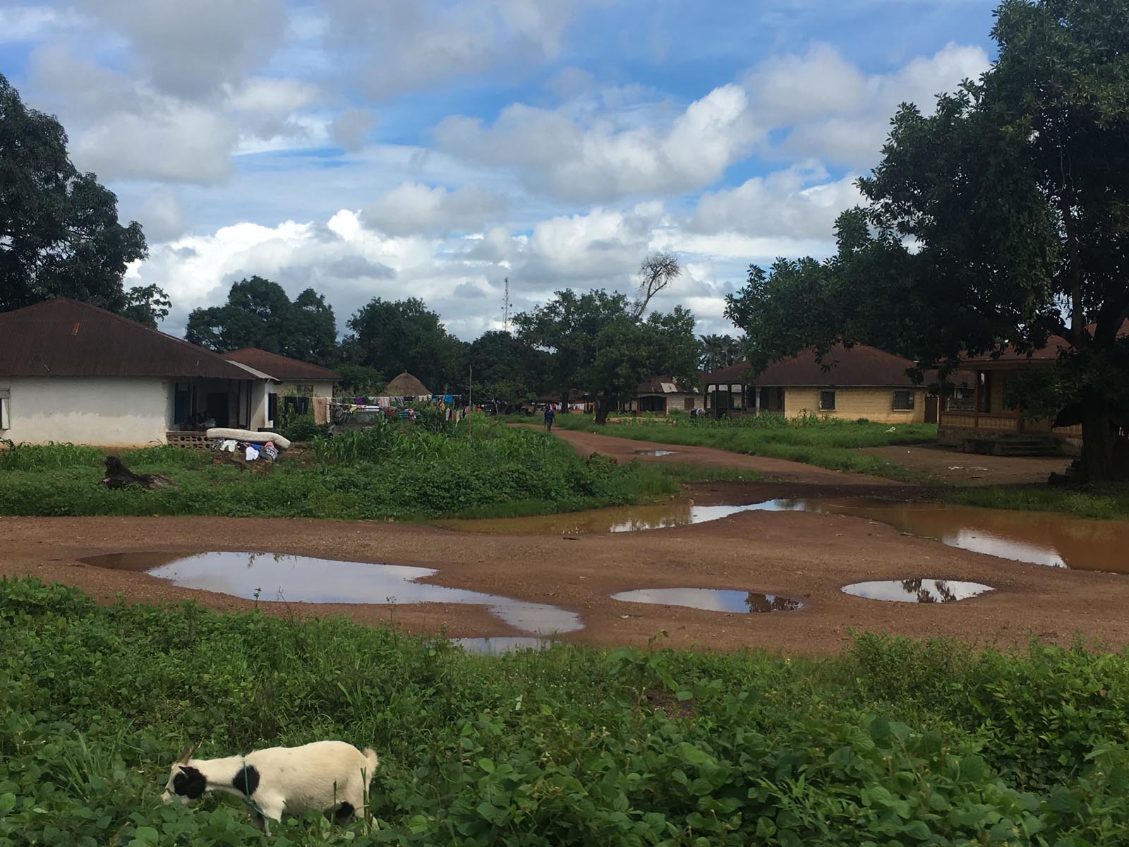 sierra leone (11)