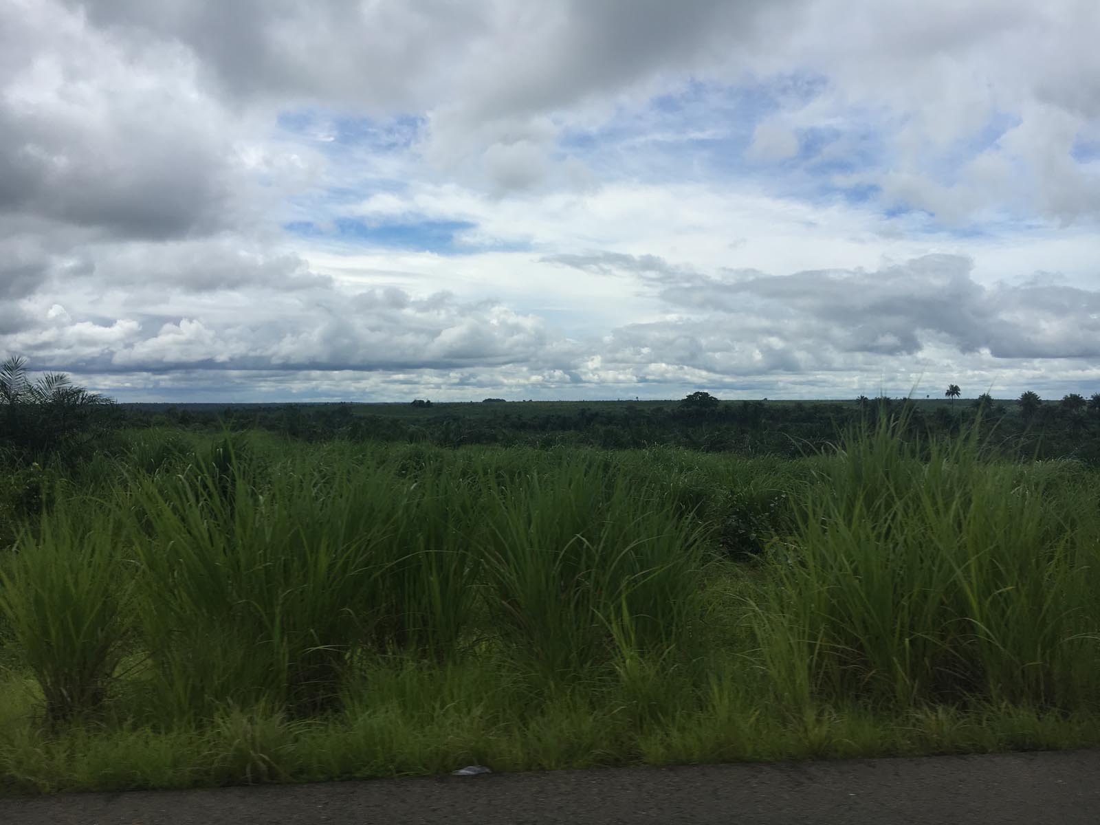 sierra leone (12)