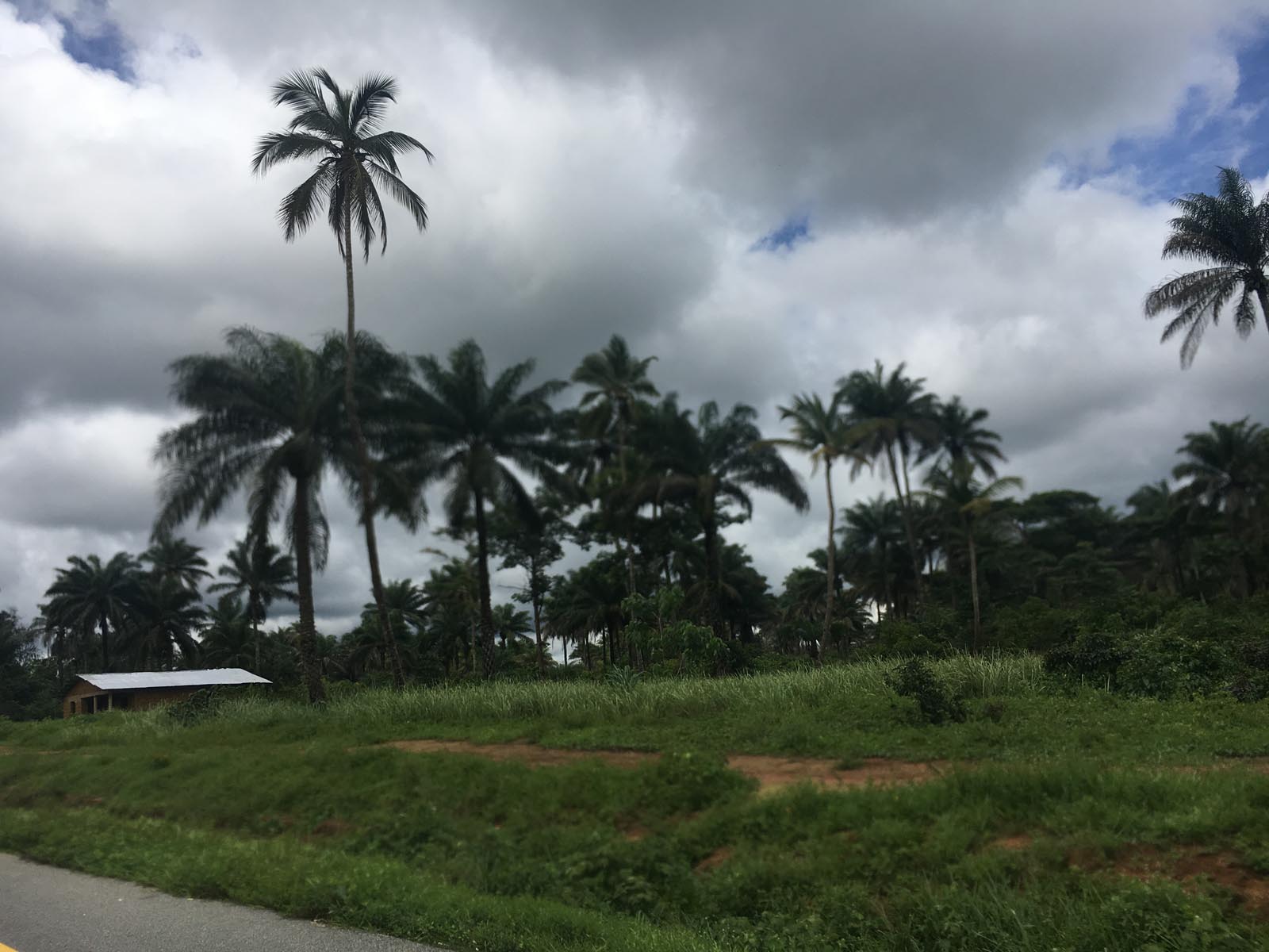 sierra leone (8)