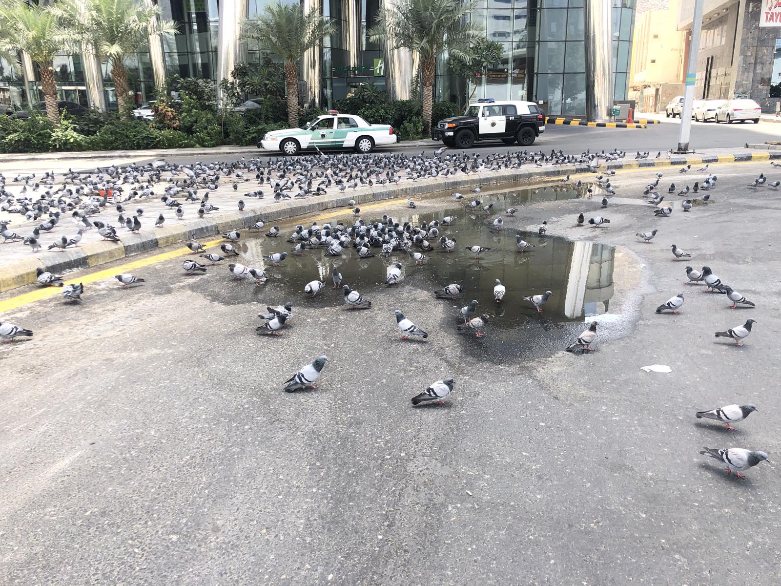 Saudi Arabia (30)
