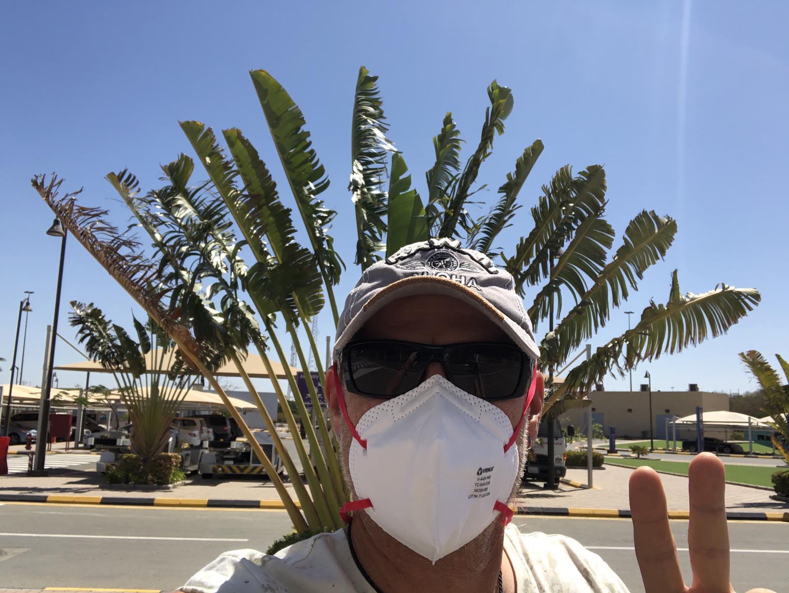Saudi Arabia (36)