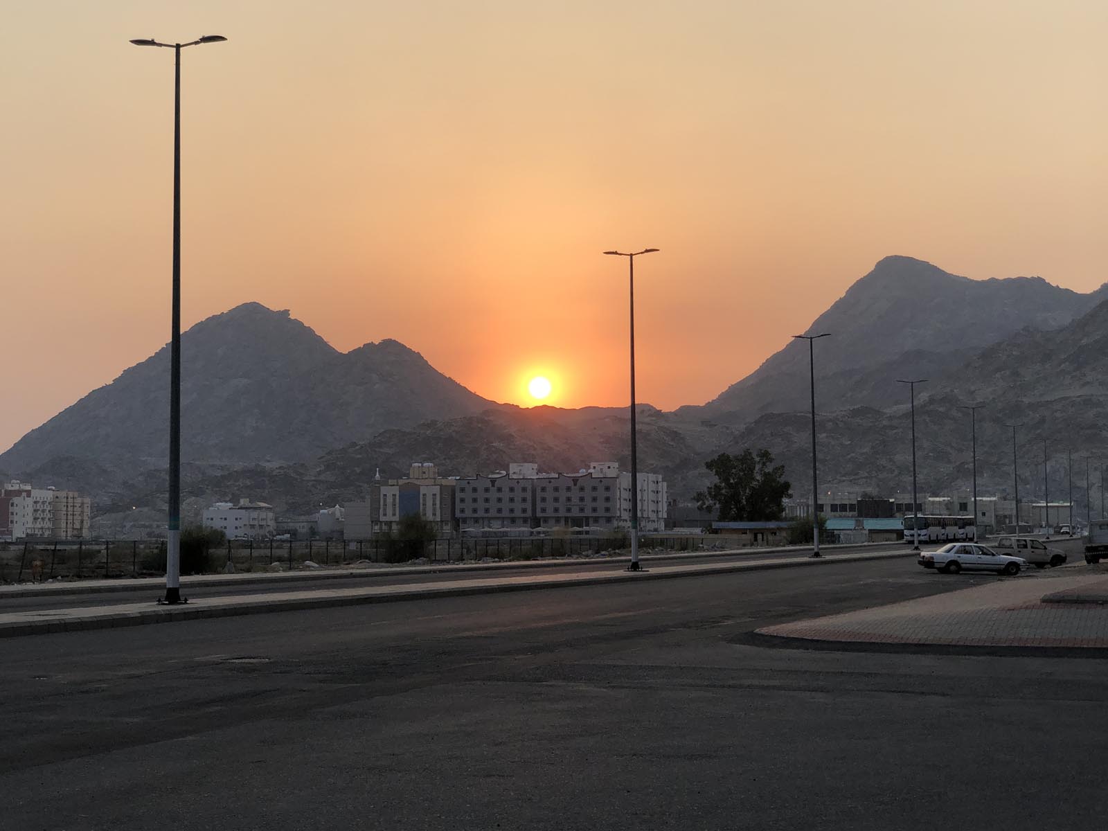 Saudi Arabia (50)