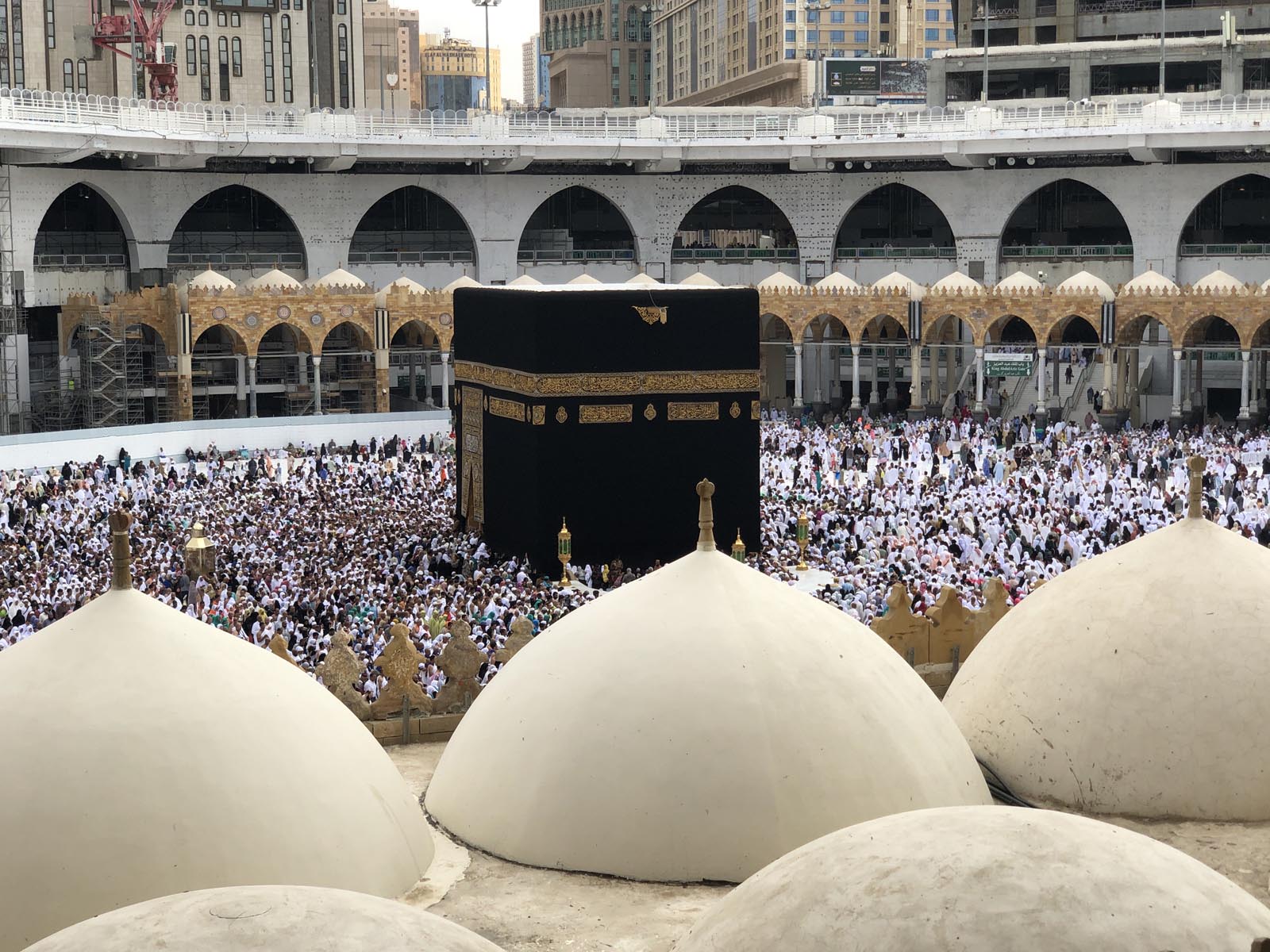 Saudi Arabia (67)