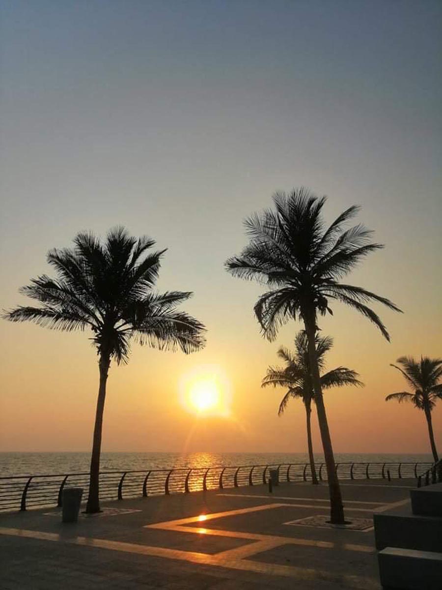 Saudi Arabia (80)